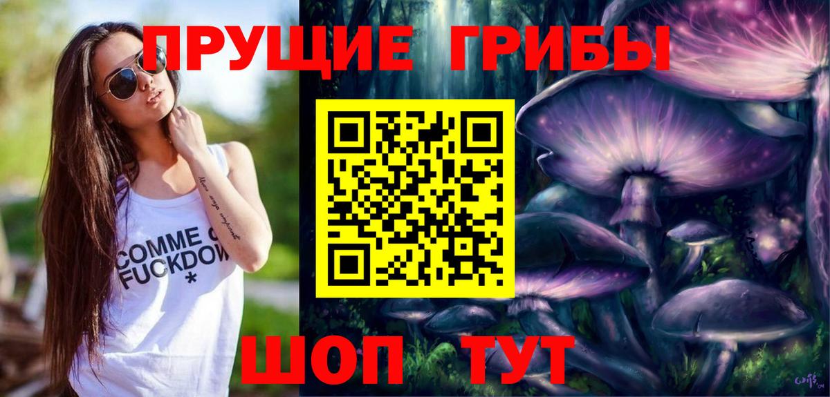 Псилоцибиновые грибы Psilocybe  Галлюциногенные грибы GOLDEN TEACHER  Мурманск  Вход с VPN 