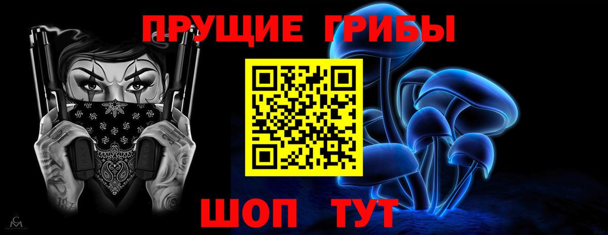Галлюциногенные грибы Psilocybe Мурманск